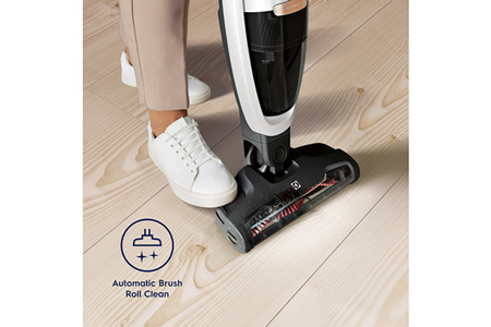 Aspirateur balai Electrolux WQ81-Palrg, nettoyage de la maison, vue de face