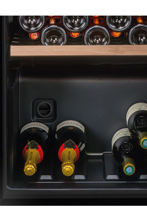 Cave de vieillissement La Sommelière CTPNE147, conservation des vins, vue arrière