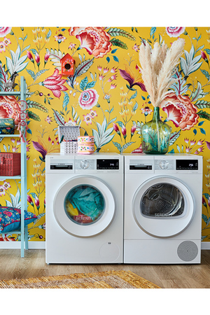 Lave-linge hublot Bosch WGG244FSFR, lavage du linge, vue arrière